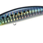 Esca Spearhead Ryuki 80S SW Limited 12 gr - Sardine - DUO