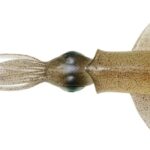 Esca Savage Gear 3D Swim Squid 86 gr. 25 cm. Green Eye - Savage Salt