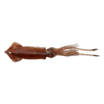 Esca Savage Gear 3D Swim Squid 26mm 126gr - Brown UV - Savage Salt