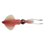 Esca Savage Gear 3D Swim Squid 86 gr. 25 cm. Pink Glow - Savage Salt