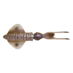 Esca Savage Gear 3D Swim Squid 86 gr. 25 cm. Cuttlefish - Savage Salt