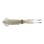 Esca Savage Gear 3D Swim Squid 26mm 126gr - Green Eye - Savage Salt
