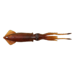 Esca Savage Gear 3D Swim Squid 26mm 126gr - Red Brown - Savage Salt