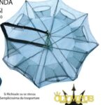 Nassa 6 ingressi Olympus