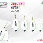 AQS Galleggiante Muggine