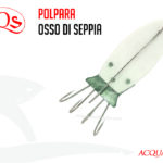 Polpara Osso Di Seppia AQS
