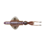 Savage Gear Swim Squid RTF 25cm  Col. Cuttlefish
