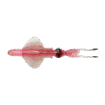 Savage Gear Swim Squid RTF 25cm  Col. Pink Glow