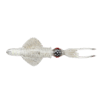 Savage Gear Swim Squid RTF 25cm  Col. White Glow Cuttlefish