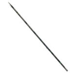 Canna Daiwa Aqualite Bolo 50RG