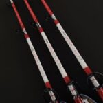Canna Saipan AQS 2MT Acid