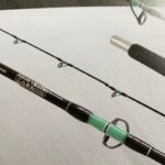Canna AQS Snapper XJ Boat 250gr Mt 2.10