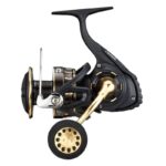 Mulinello Daiwa 23 BG SW 8000 P